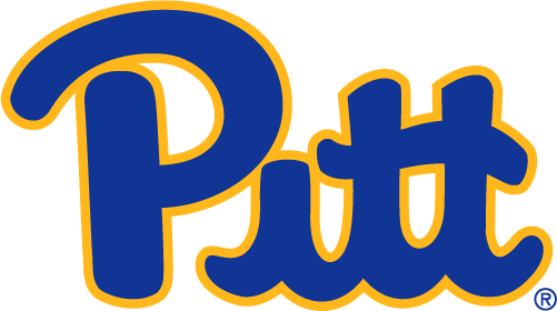 Pittsburgh Panthers 2019-Pres Primary Logo diy iron on heat transfer